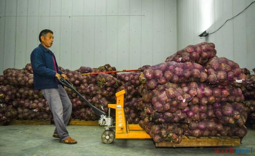 海口市菜篮子江楠农产品批发市场 冷库里的“火热”守护